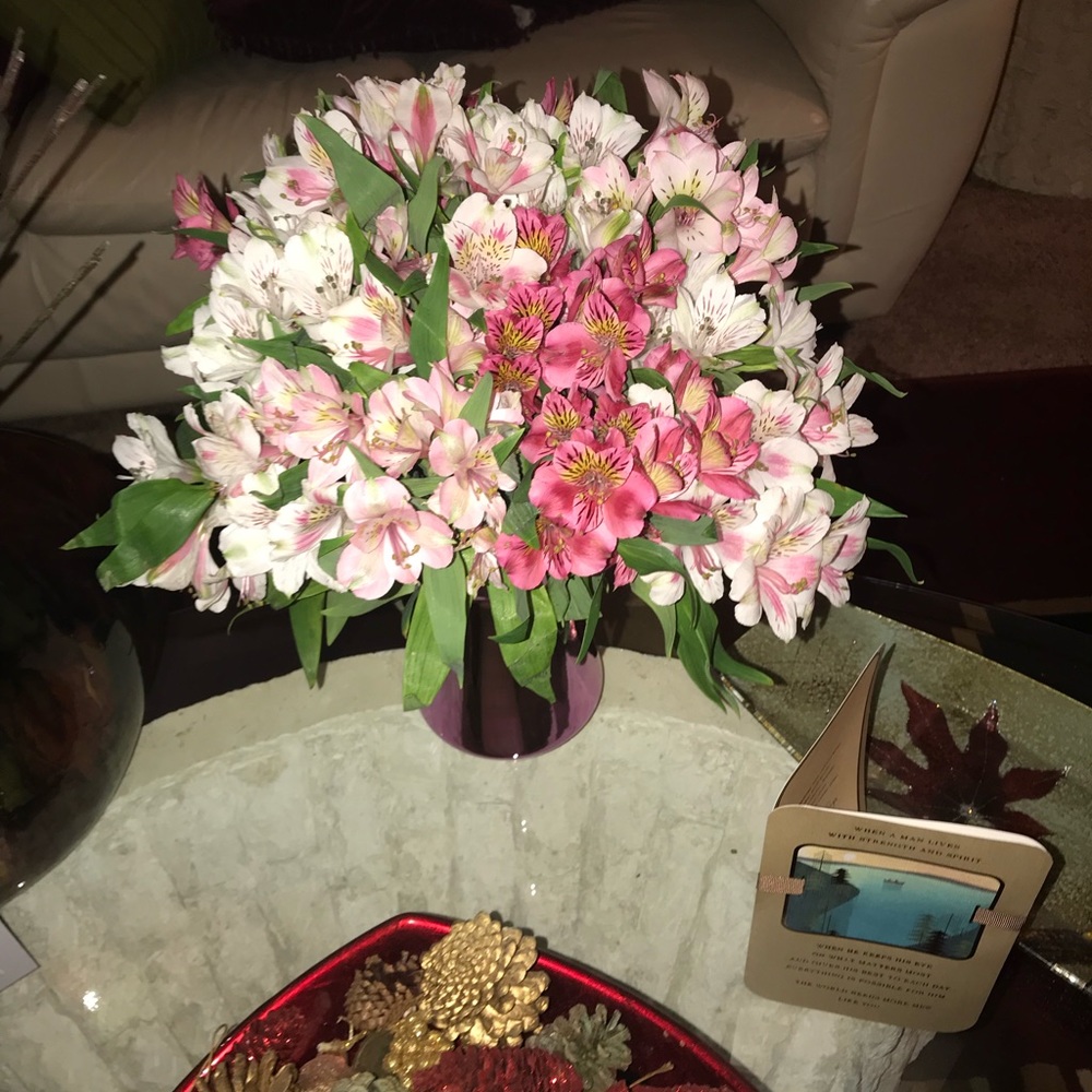 Meet your Posher, Derbia